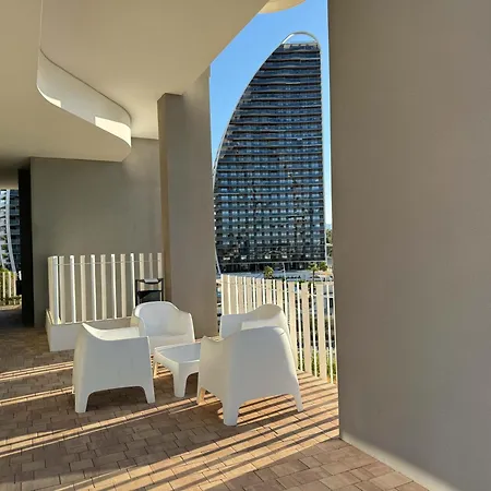 Sunset Cliffs Terra Gold *